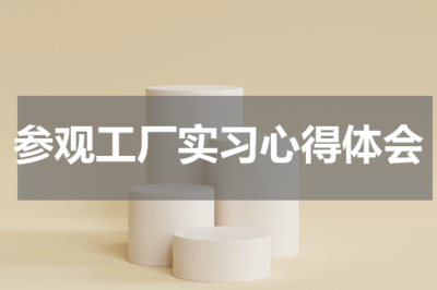 參觀工廠實(shí)習(xí)的心得體會(huì)——教育咨詢服務(wù)的啟示