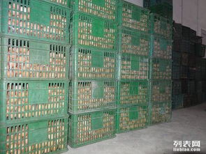 一萬(wàn)立方雞蛋保鮮冷庫(kù)造價(jià)與建設(shè)工程施工詳解